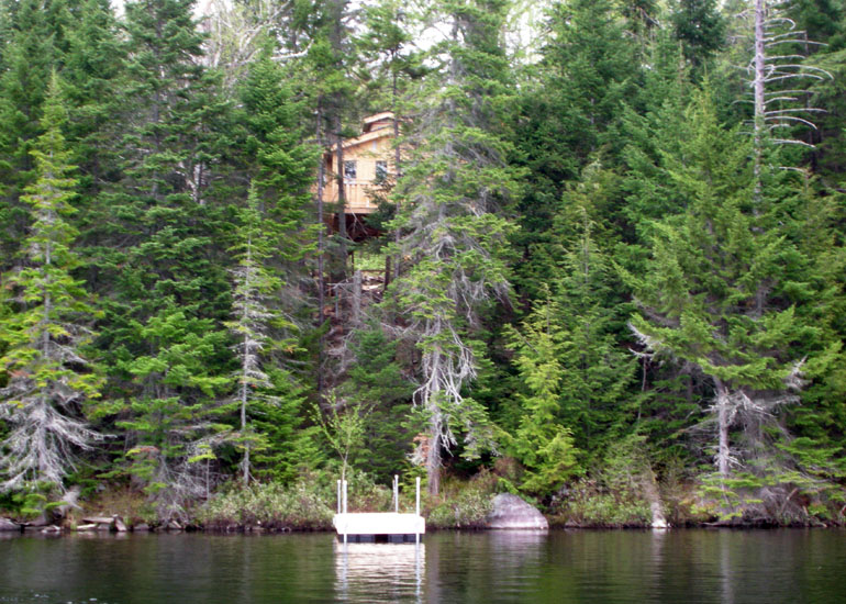 treehouseD4-lac